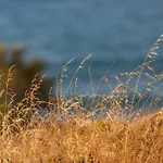 Lucia Beachfront 度假居 *