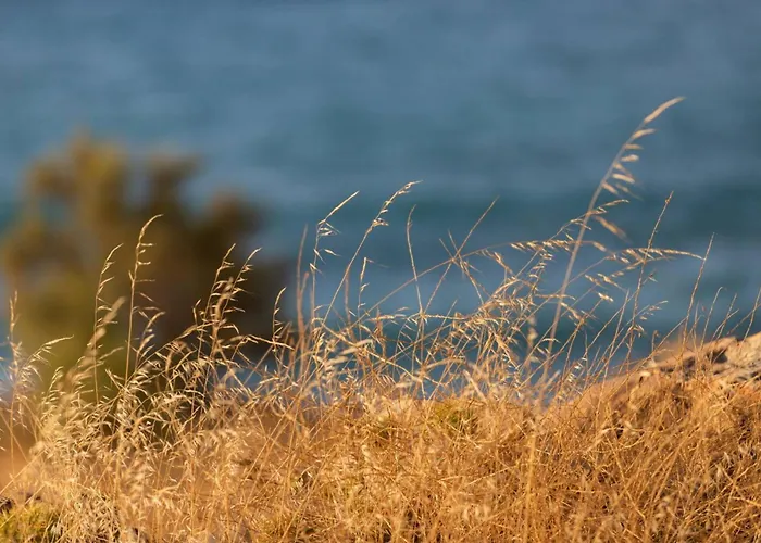 Lucia Beachfront Сasa de vacaciones *